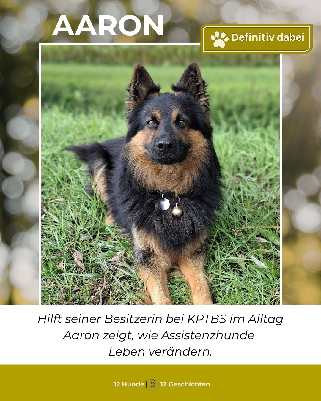 aaron – definitiv dabei
