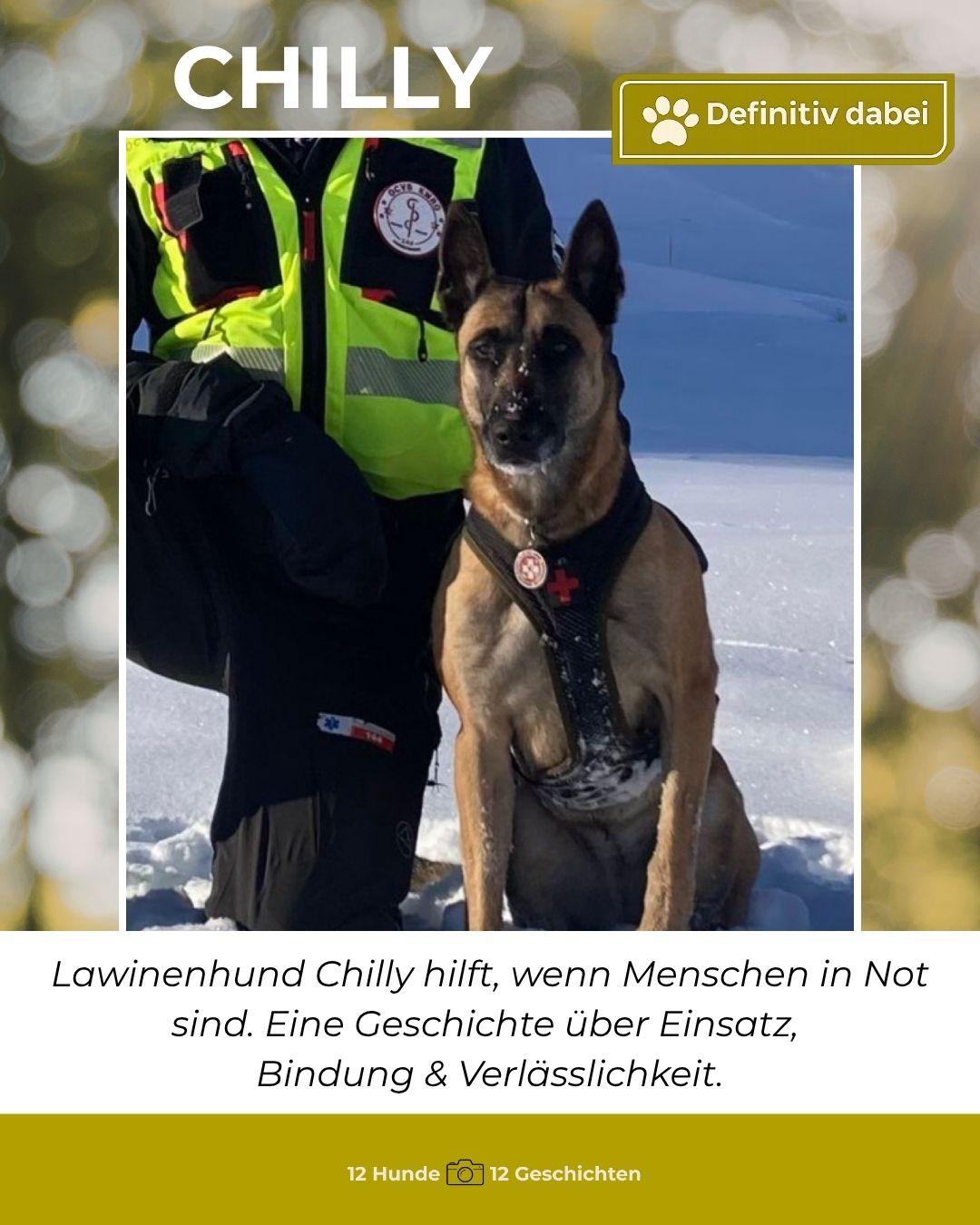 chilly – definitiv dabei