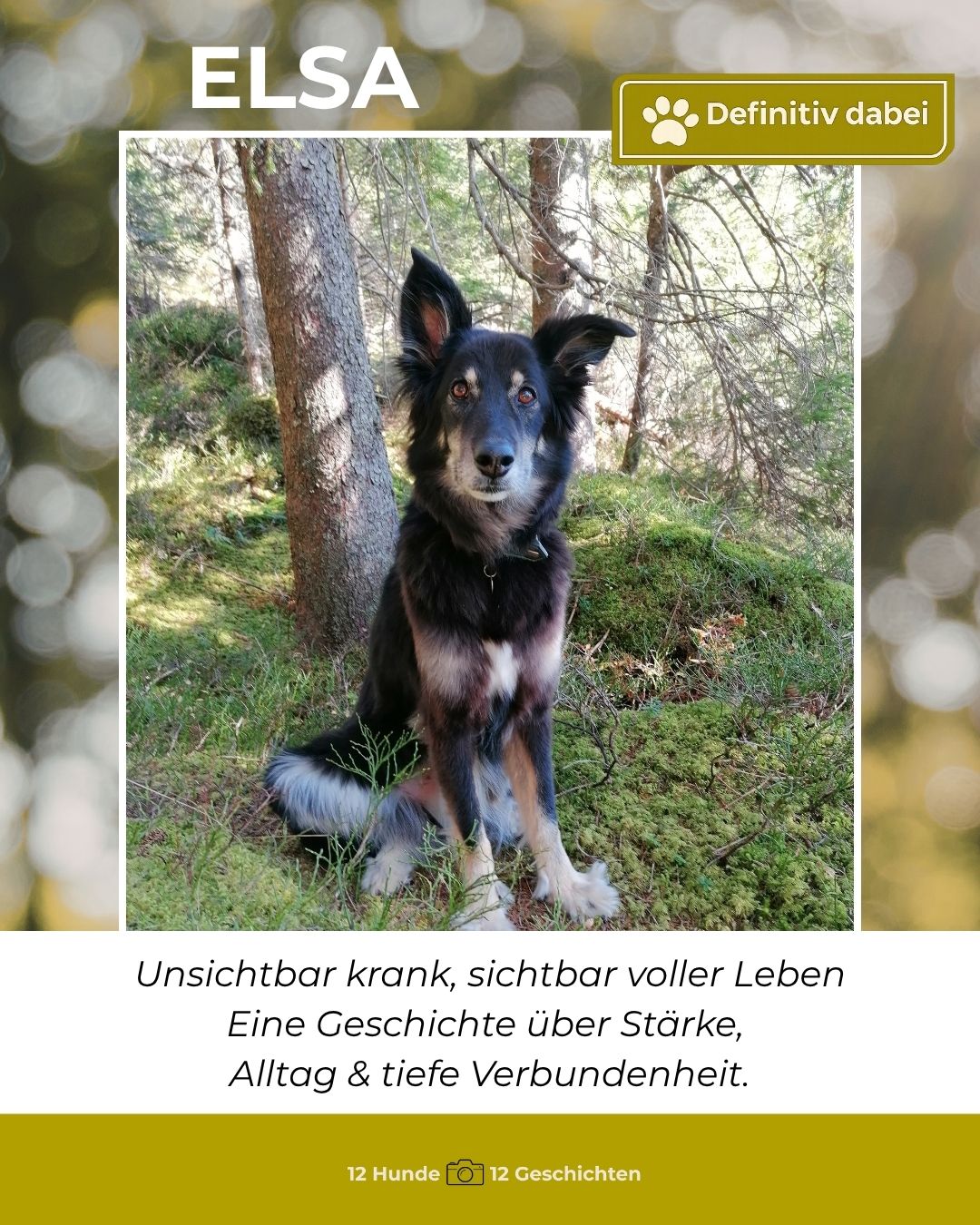 elsa – definitiv dabei