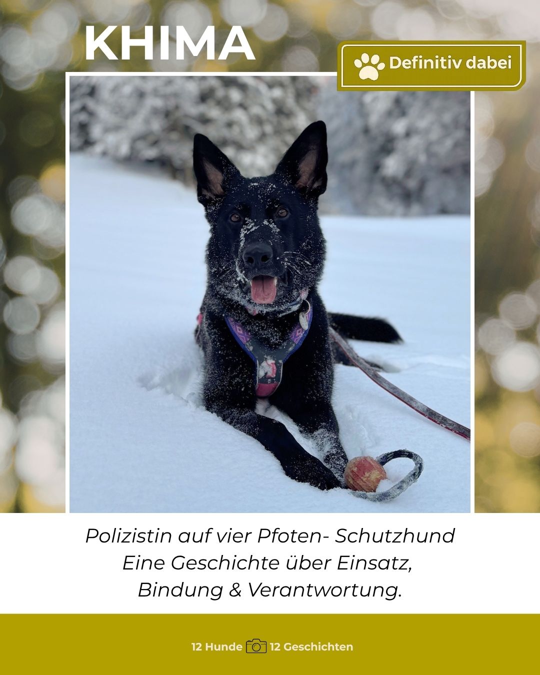 khima – definitiv dabei