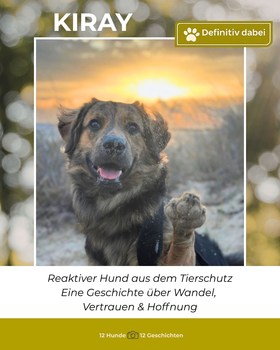 kiray – definitiv dabei