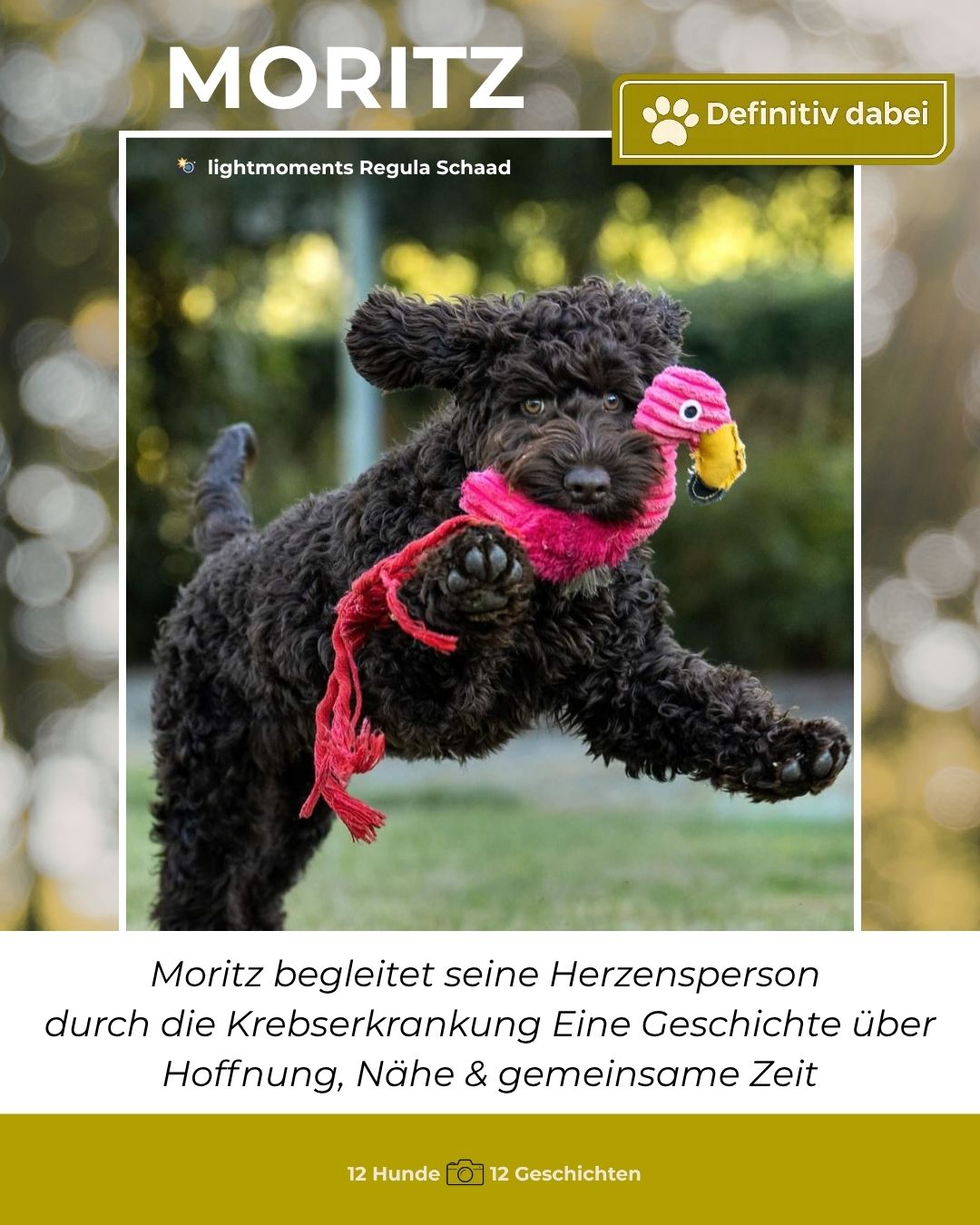 moritz – definitiv dabei