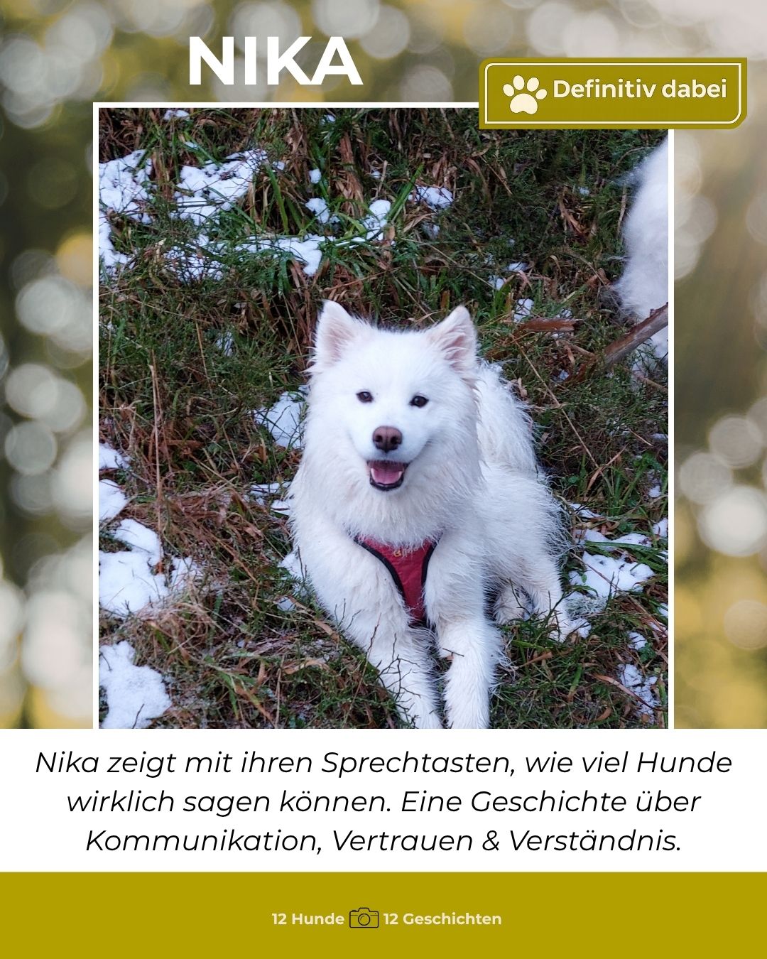 nika – definitiv dabei