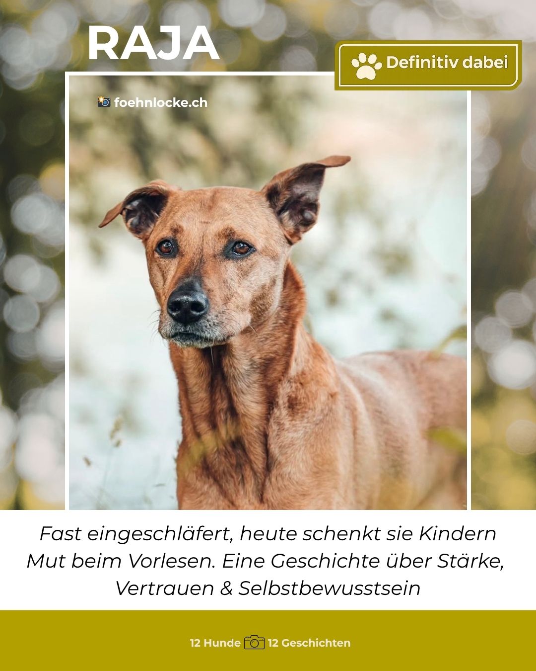 raja – definitiv dabei